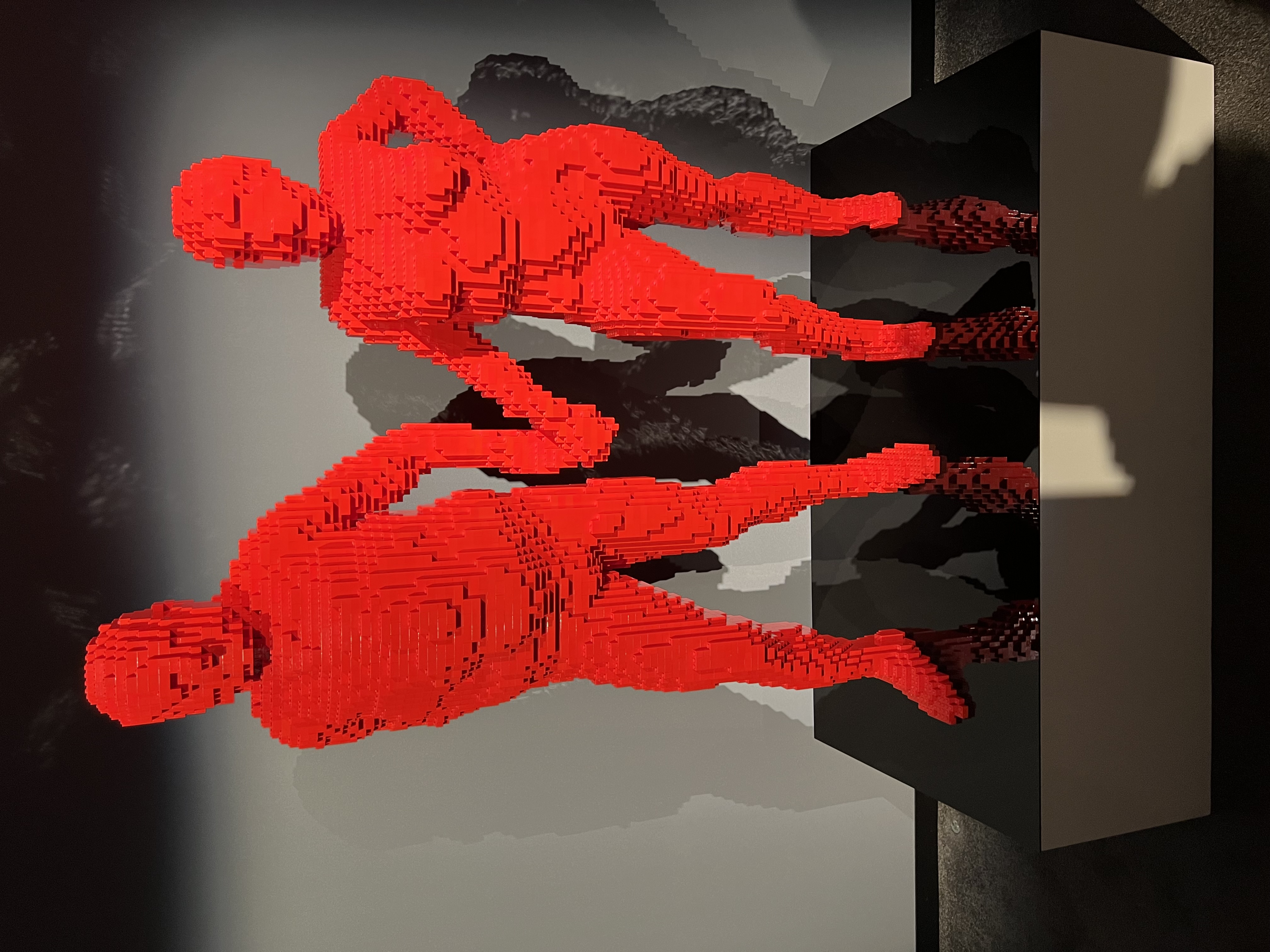 ./2023/07 - Art of the Brick/IMG_9536.JPG